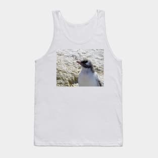 Gentoo penguin chick Tank Top